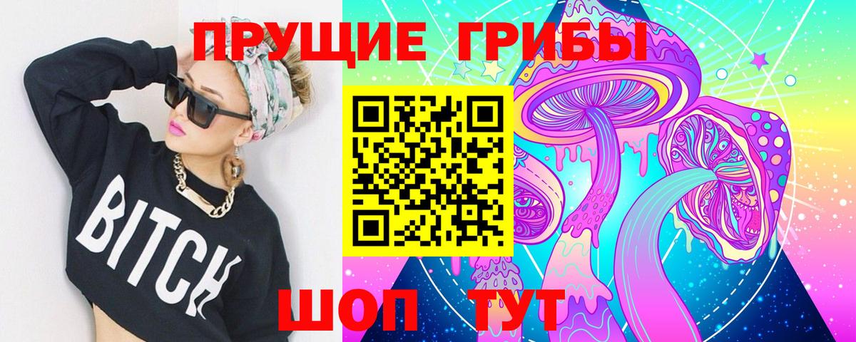 Кунгур  Псилоцибиновые грибы MAGIC MUSHROOMS  Вход с VPN 